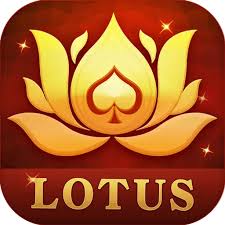 jay ho rummy app download